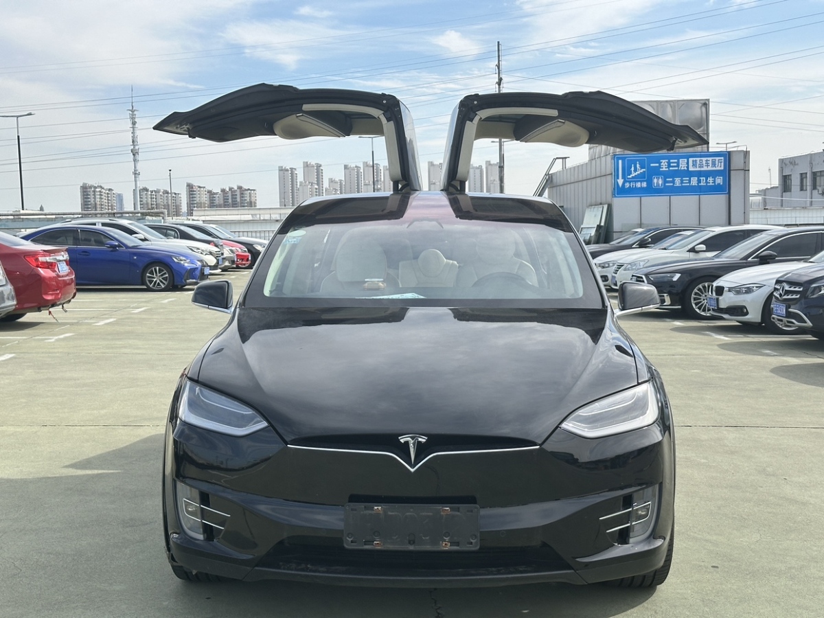 特斯拉 Model X  2017款 Model X 100D 長(zhǎng)續(xù)航版圖片