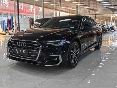 2023年01月 奥迪 奥迪A6L 40 TFSI 豪华动感型图片