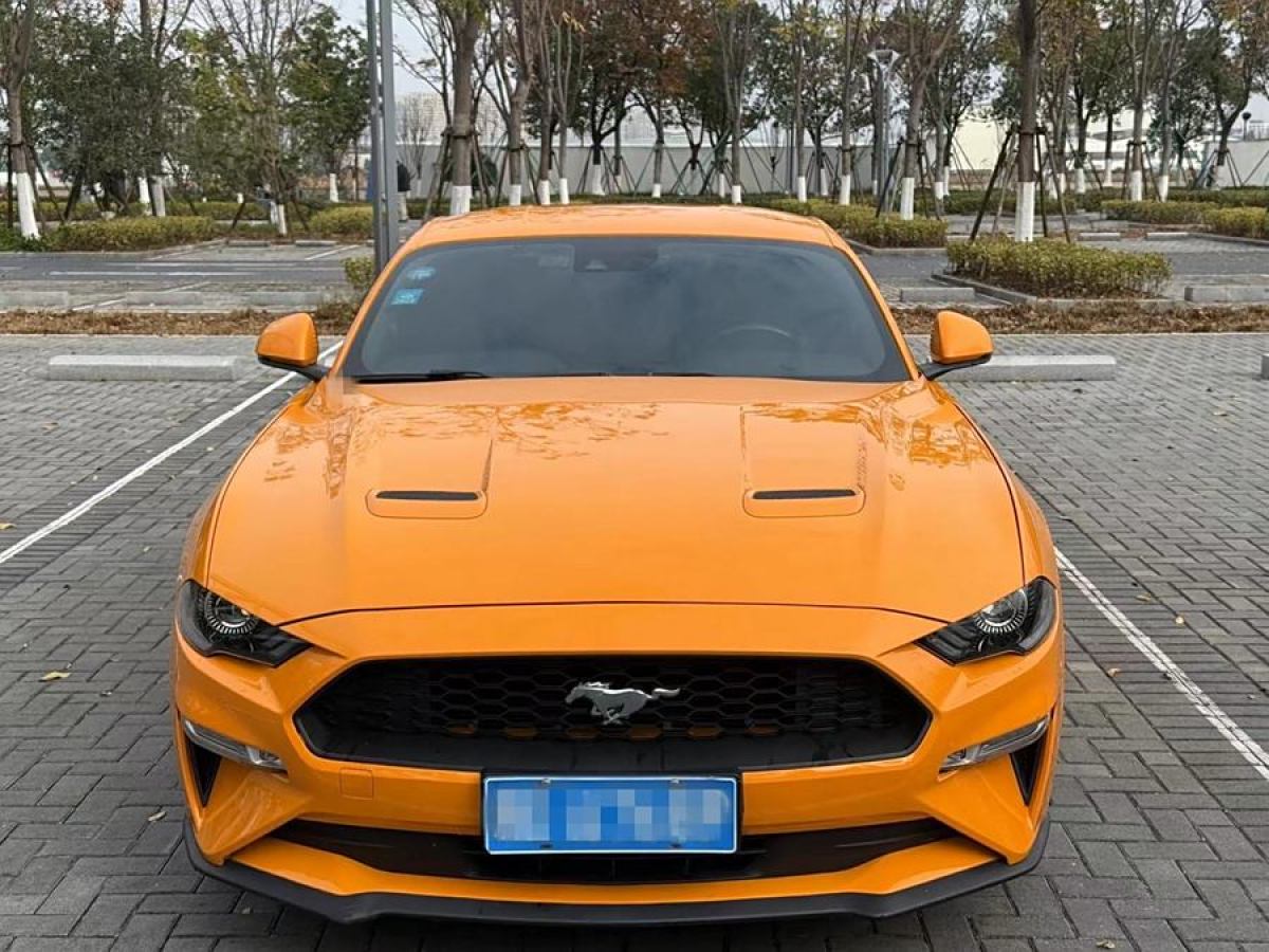 福特 Mustang  2019款 2.3L EcoBoost 性能加強版圖片