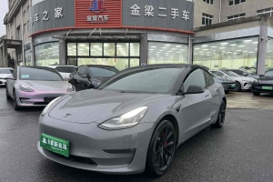 Model 3 特斯拉 Performance高性能全輪驅(qū)動(dòng)版