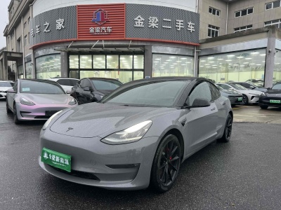 2019年4月 特斯拉 Model 3 Performance高性能全輪驅(qū)動(dòng)版圖片