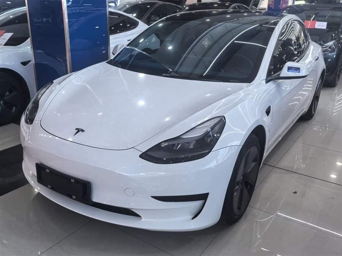 特斯拉 Model 3  2021款 標(biāo)準(zhǔn)續(xù)航后驅(qū)升級(jí)版 3D6圖片