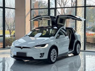 2018年6月 特斯拉 Model X Model X 100D 長續(xù)航版圖片