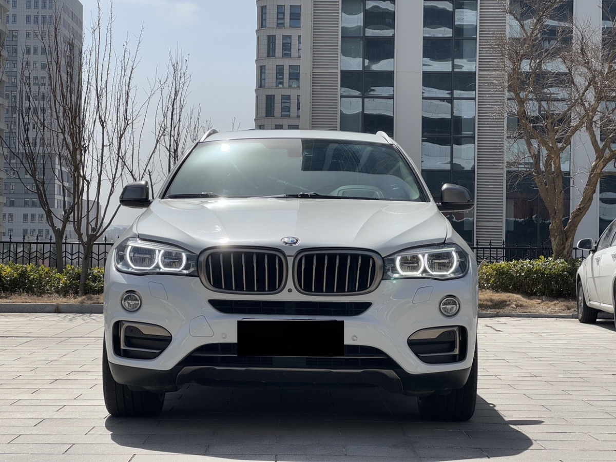 2017年1月寶馬 寶馬X6  2017款 xDrive35i 領(lǐng)先型