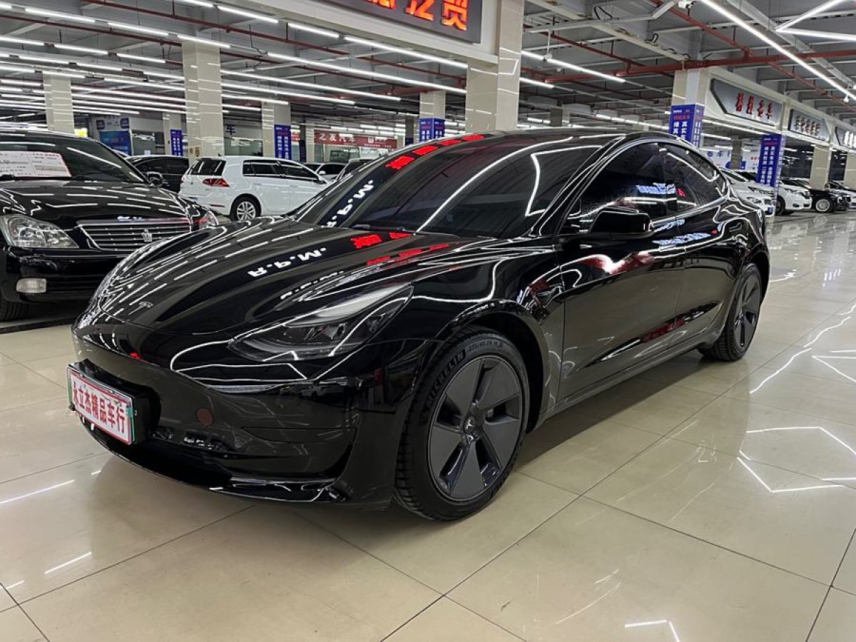 特斯拉 Model 3  2021款 標(biāo)準(zhǔn)續(xù)航后驅(qū)升級版 3D6圖片