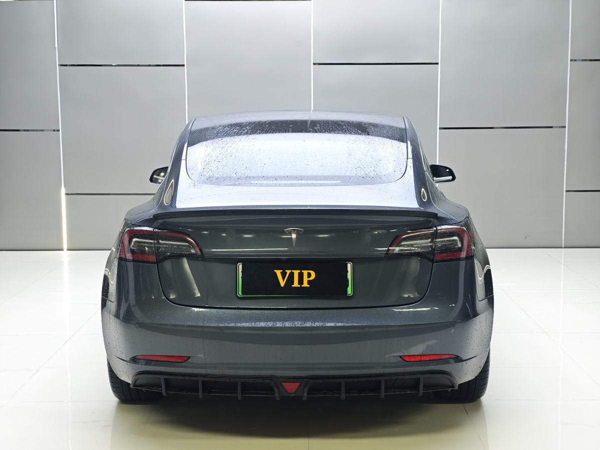 特斯拉 Model 3  2019款 標(biāo)準(zhǔn)續(xù)航后驅(qū)升級版圖片