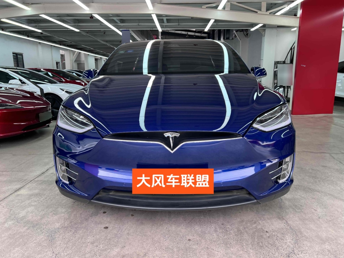 特斯拉 Model X  2019款 長續(xù)航版圖片