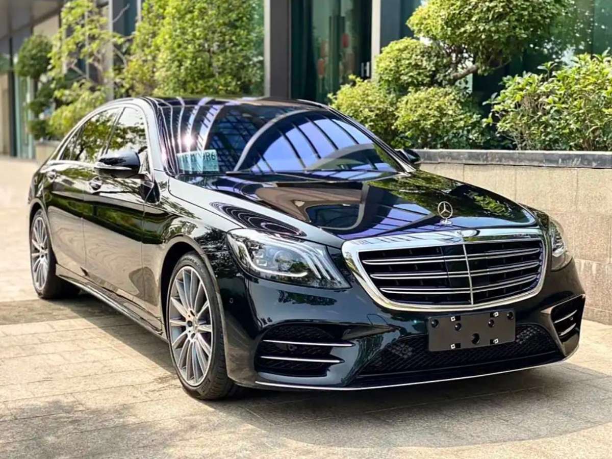 奔驰 奔驰S级  2019款 S 450 L 4MATIC 臻藏版图片