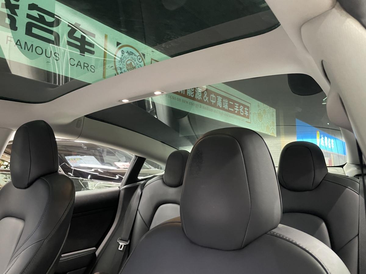 特斯拉 Model 3  2019款 標準續(xù)航后驅(qū)升級版圖片