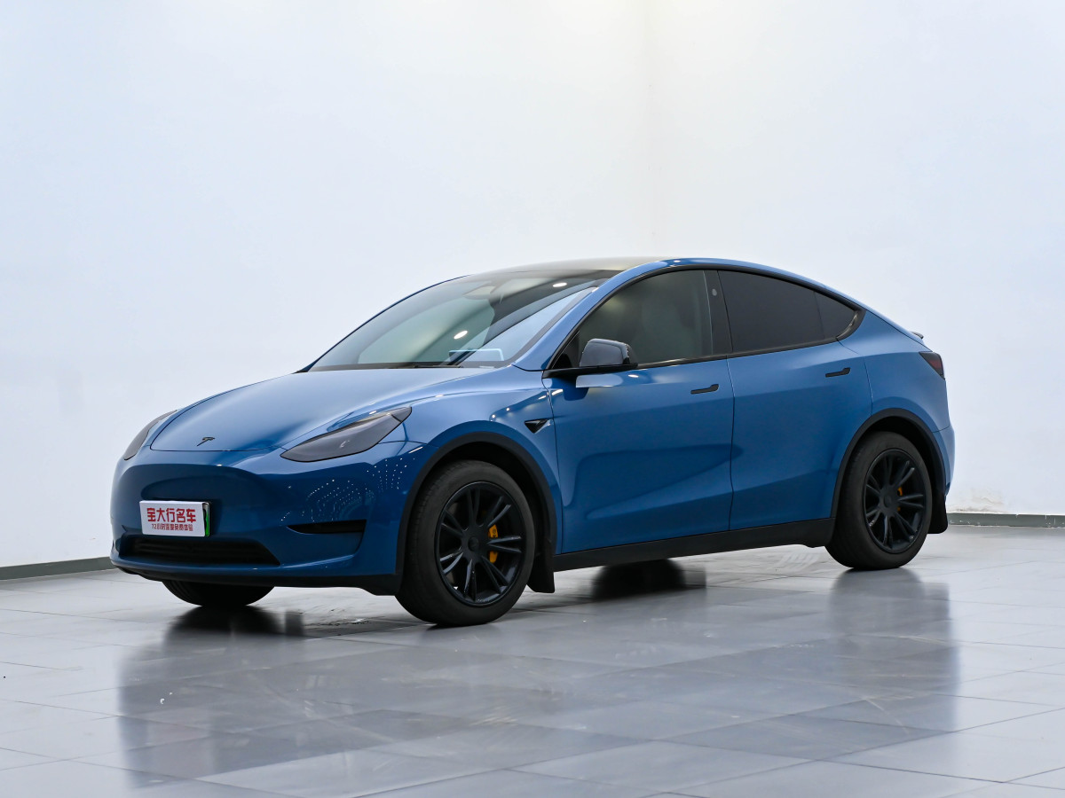 2024年3月特斯拉 Model Y  2020款 改款 長續(xù)航后輪驅(qū)動版