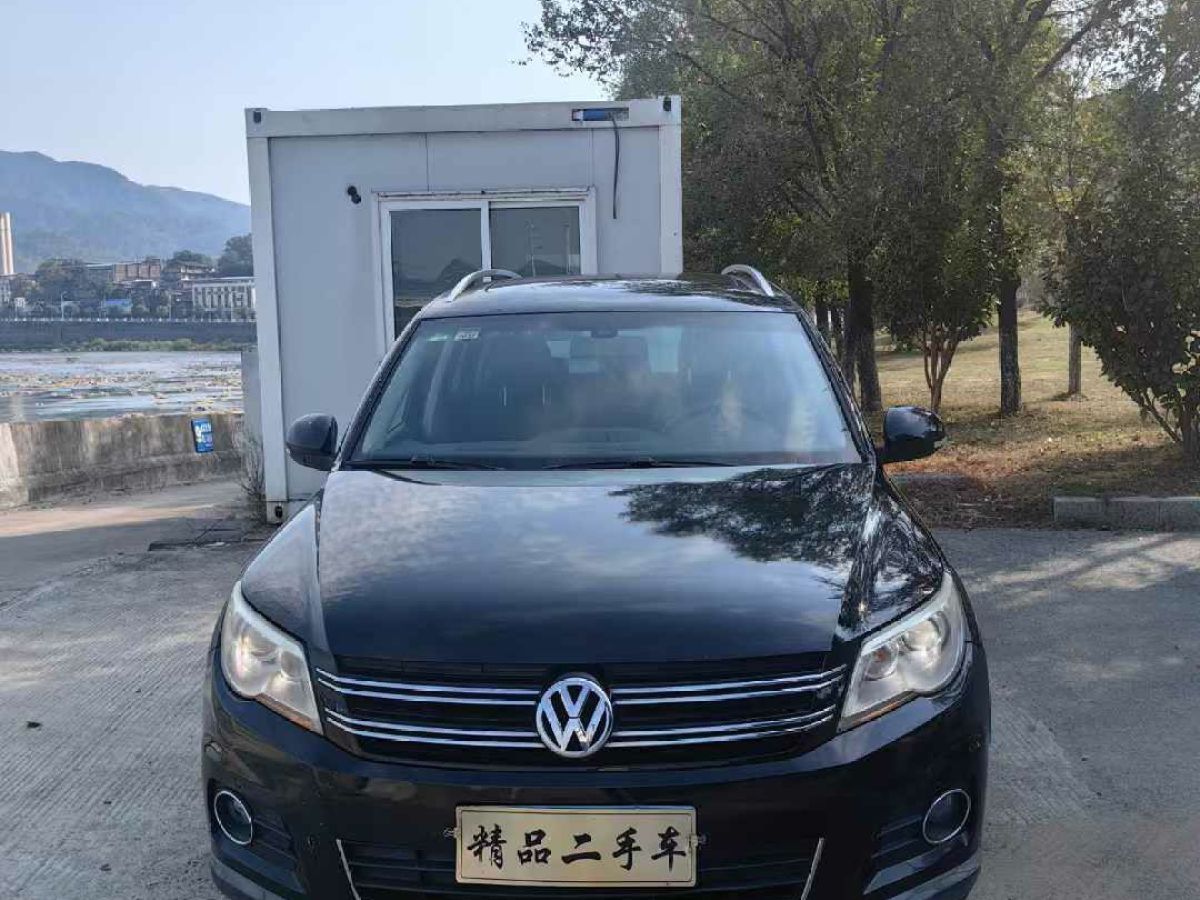 2012年2月大眾 途歡  2012款 2.0 TDI 舒適版