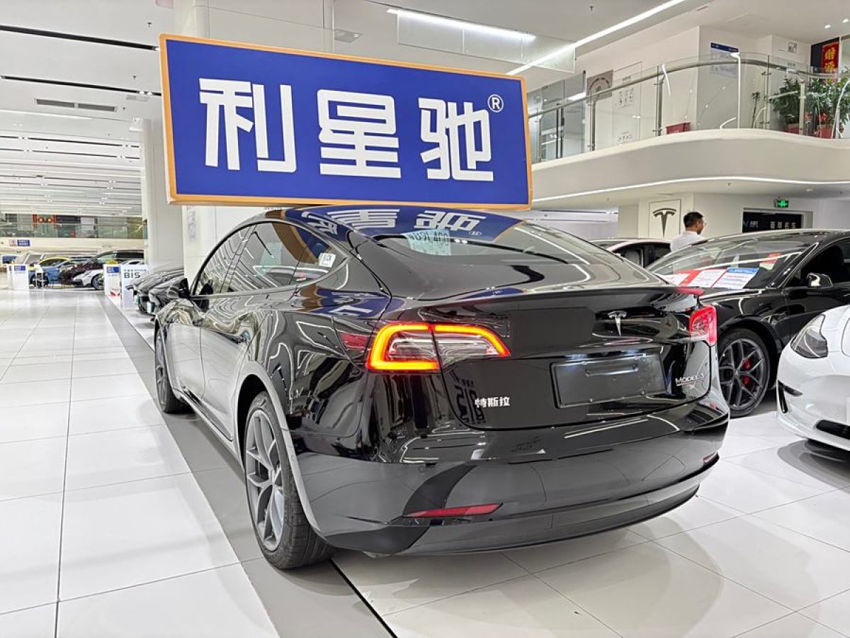 特斯拉 Model 3  2022款 Performance高性能全輪驅(qū)動(dòng)版圖片