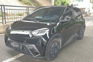 海鷗 比亞迪 305km 活力版