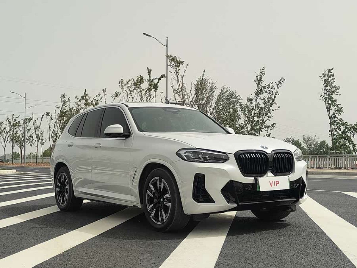 寶馬 寶馬iX3  2022款 改款 領(lǐng)先型圖片