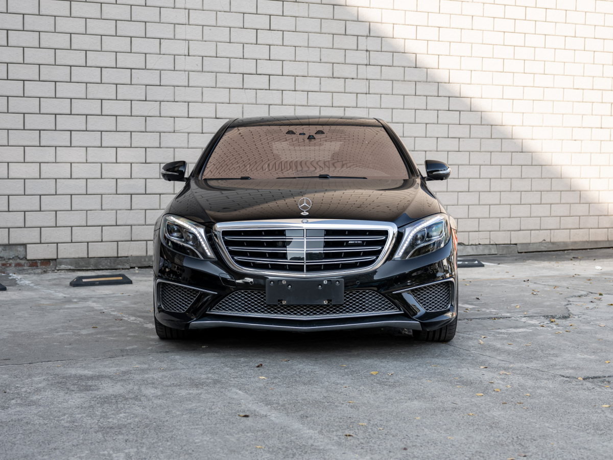 奔馳 奔馳S級(jí)AMG  2014款 AMG S 65 L圖片