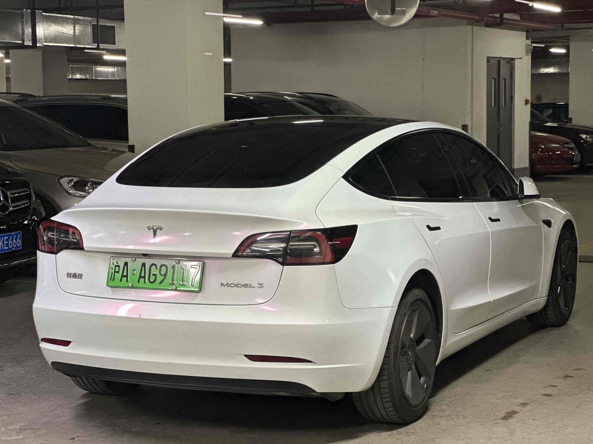 特斯拉 Model 3  2019款 標(biāo)準(zhǔn)續(xù)航后驅(qū)升級版圖片