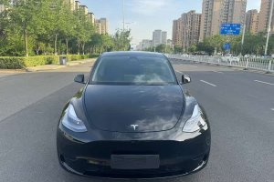 Model Y 特斯拉 后輪驅(qū)動版