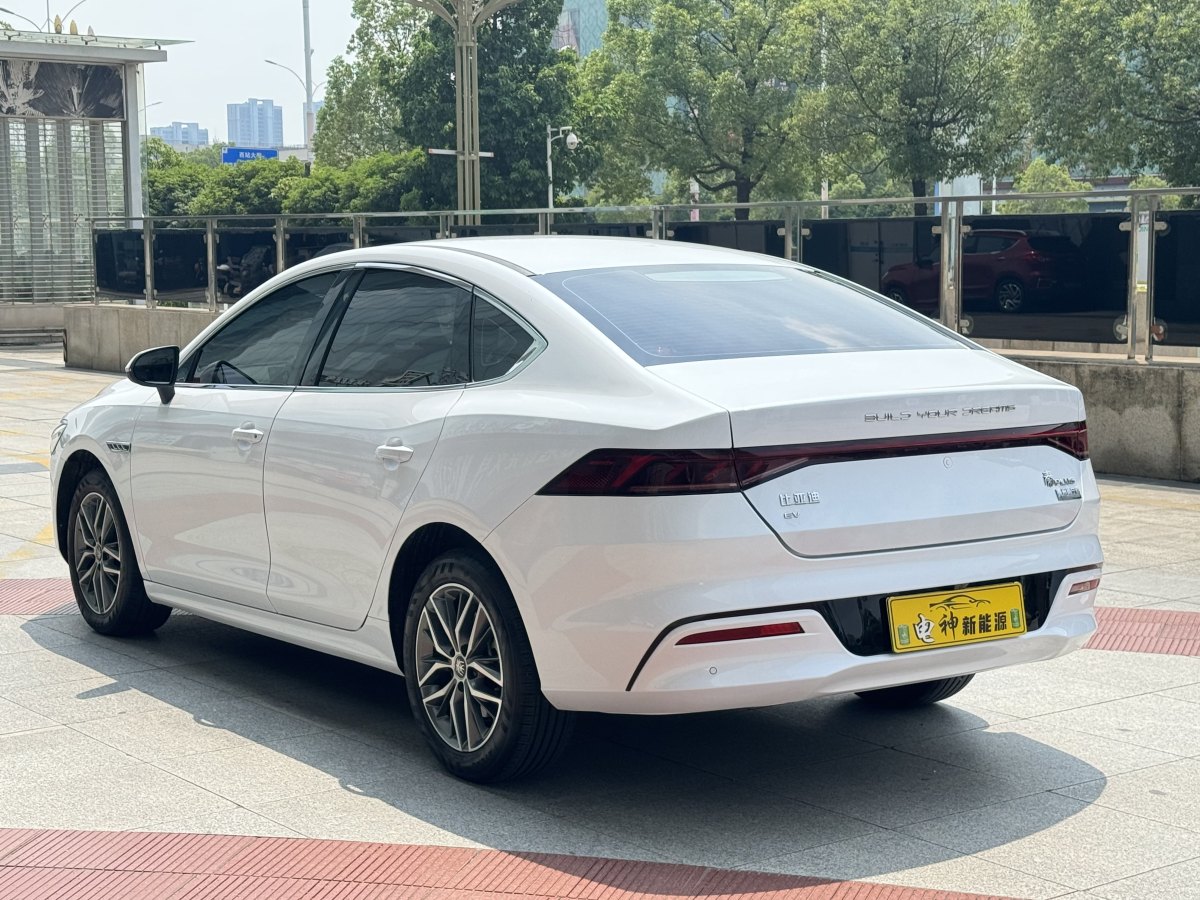 比亞迪 秦PLUS  2024款 榮耀版 EV 510KM領(lǐng)先型圖片