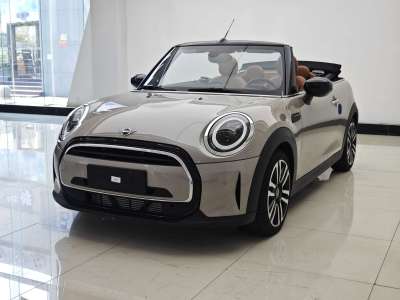 2023年8月 MINI MINI 1.5T COOPER CABRIO 艺术家图片