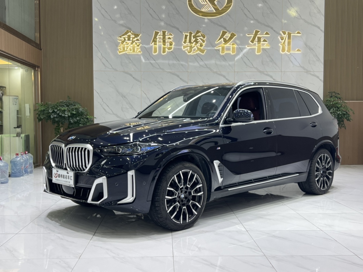 寶馬 寶馬X5  2023款 xDrive 40Li M運(yùn)動(dòng)曜夜套裝圖片