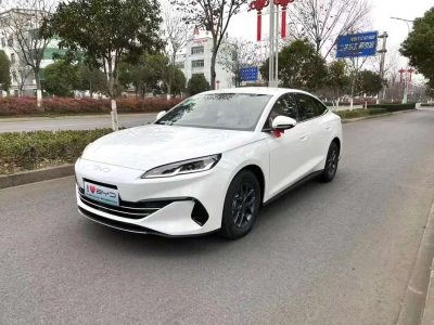2024年11月 比亞迪 海豹06 DM-i DM-i 120KM尊享型圖片