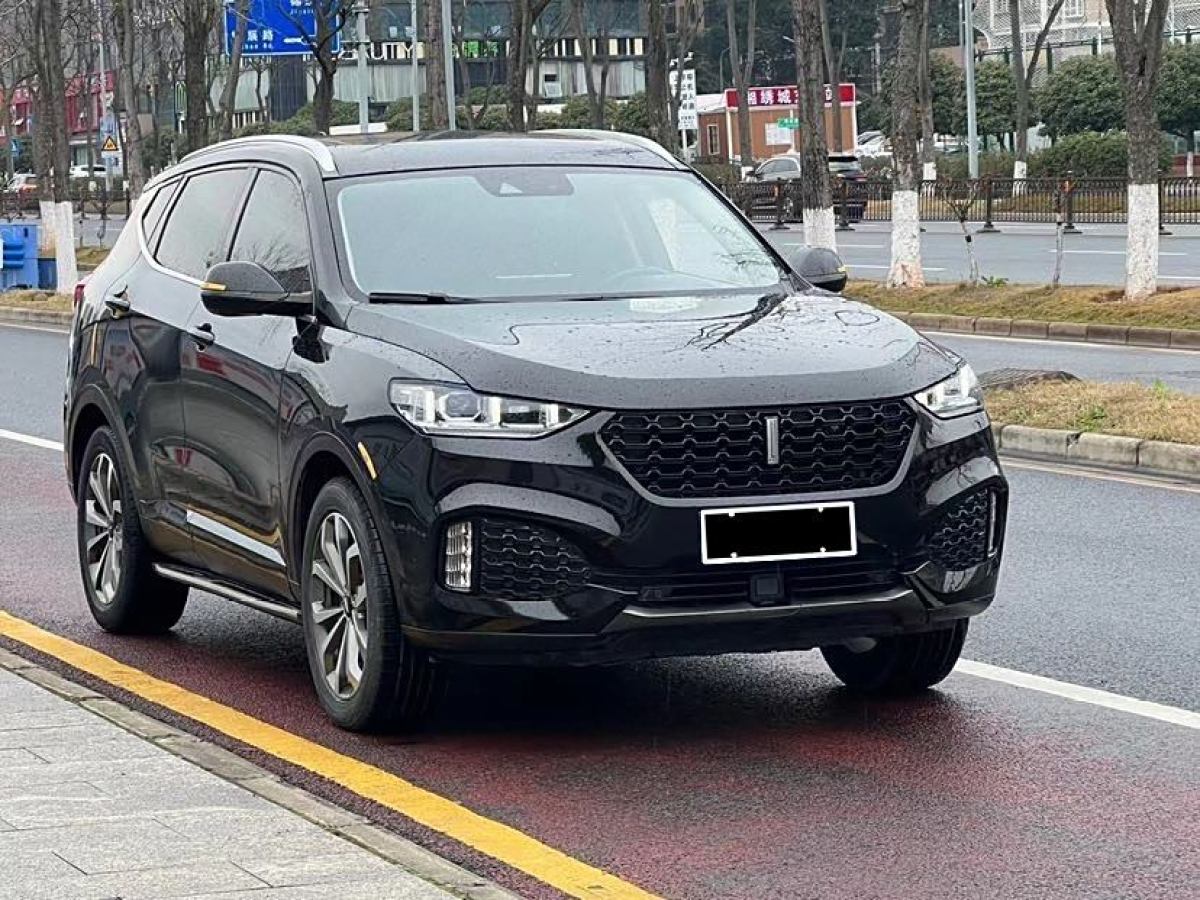 WEY VV6  2020款 2.0T 两驱智享+图片