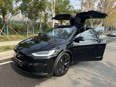 2023年6月 特斯拉 Model X 雙電機(jī)全輪驅(qū)動版圖片