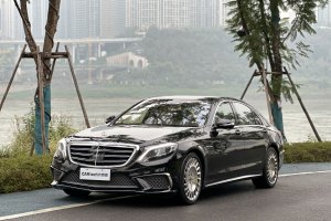 奔驰S级AMG 奔驰 AMG S 65 L