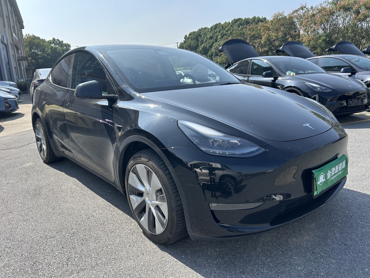 2022年6月特斯拉 Model Y  2023款 長續(xù)航煥新版 雙電機全輪驅(qū)動