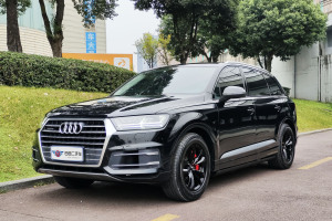 奥迪Q7 奥迪 45 TFSI 技术型