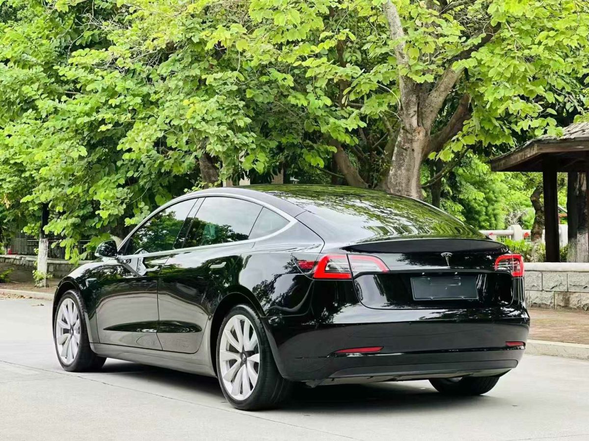 特斯拉 Model S  2021款 Performance 高性能版圖片