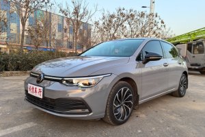 高爾夫 大眾 280TSI DSG 30周年紀(jì)念版