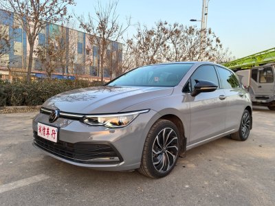 2022年6月 大眾 高爾夫 280TSI DSG 30周年紀(jì)念版圖片