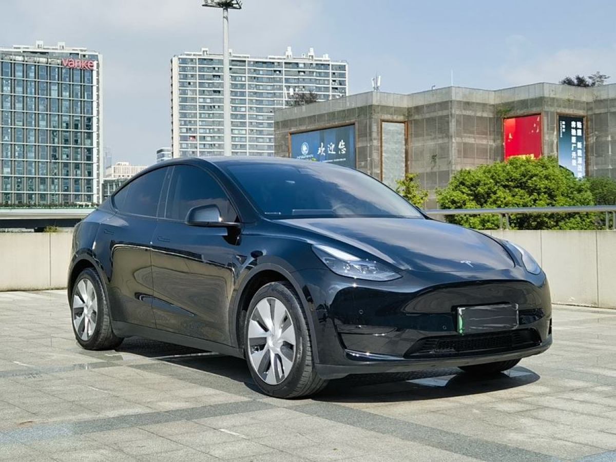 特斯拉 Model 3  2022款 后輪驅(qū)動(dòng)版圖片