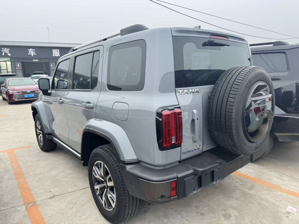 坦克 坦克300  2021款 城市版 2.0T 我看型圖片