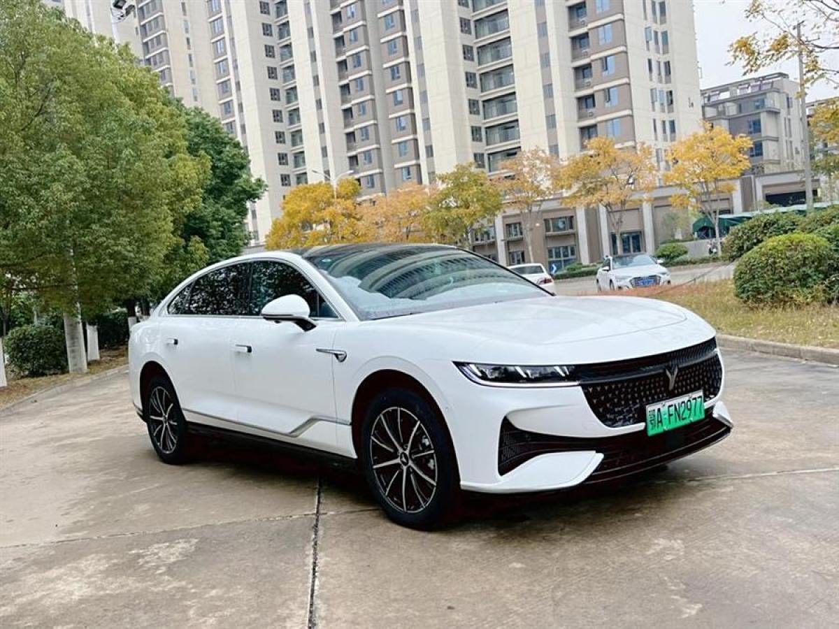 嵐圖 嵐圖追光  2024款 PHEV 四驅(qū)超長(zhǎng)續(xù)航旗艦版圖片