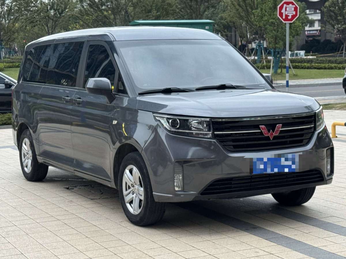 五菱 五菱征程  2021款 1.5T 手動(dòng)豪華型營(yíng)運(yùn)車(chē)圖片