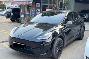 Model Y 特斯拉 后輪驅(qū)動(dòng)版