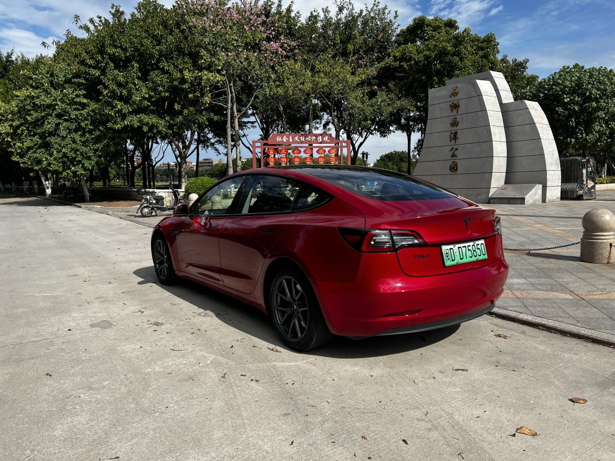 特斯拉 Model 3  2019款 標(biāo)準(zhǔn)續(xù)航后驅(qū)升級(jí)版圖片