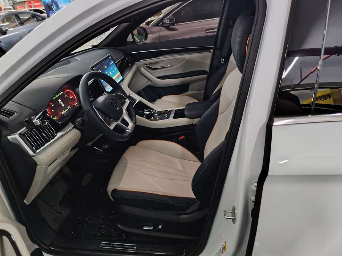比亞迪 宋PLUS新能源  2021款 EV 尊貴型圖片