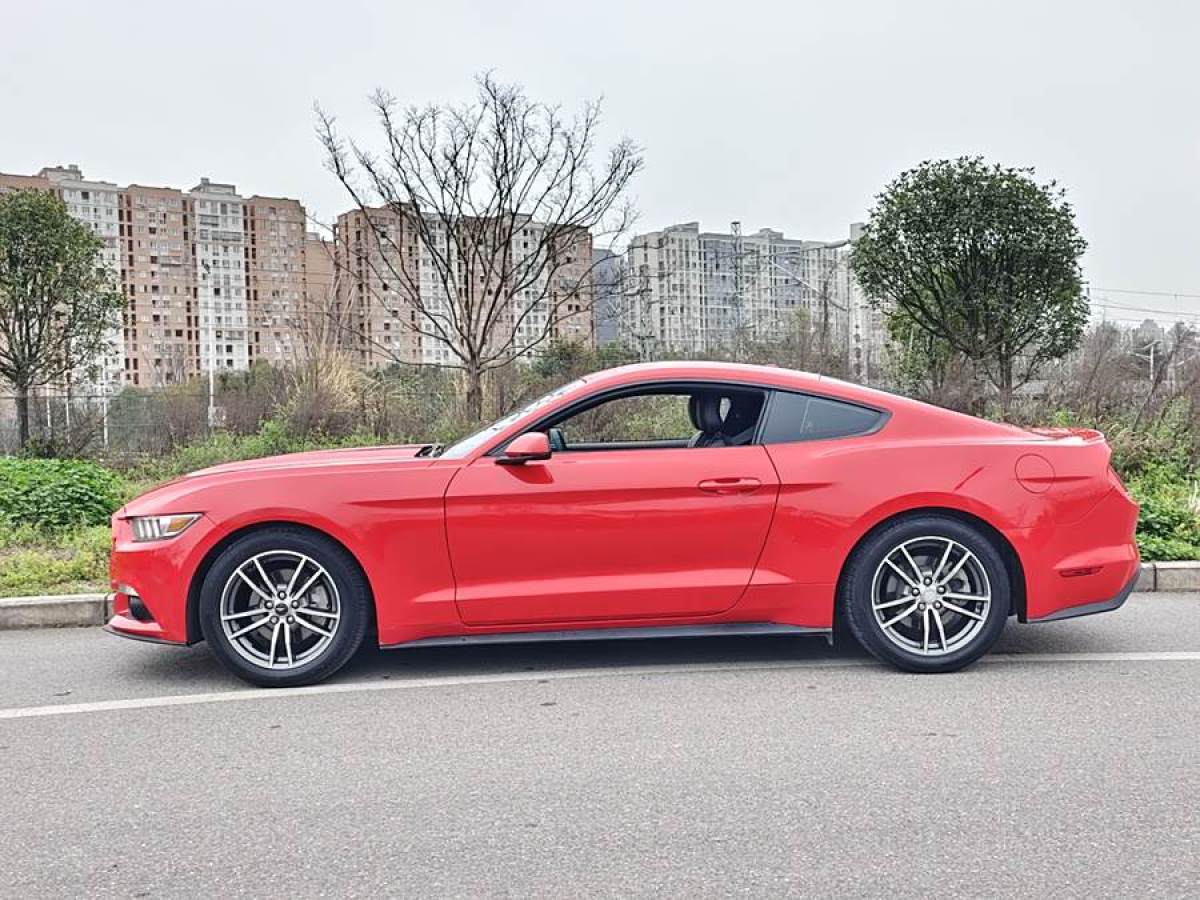 福特 Mustang  2016款 2.3T 性能版圖片