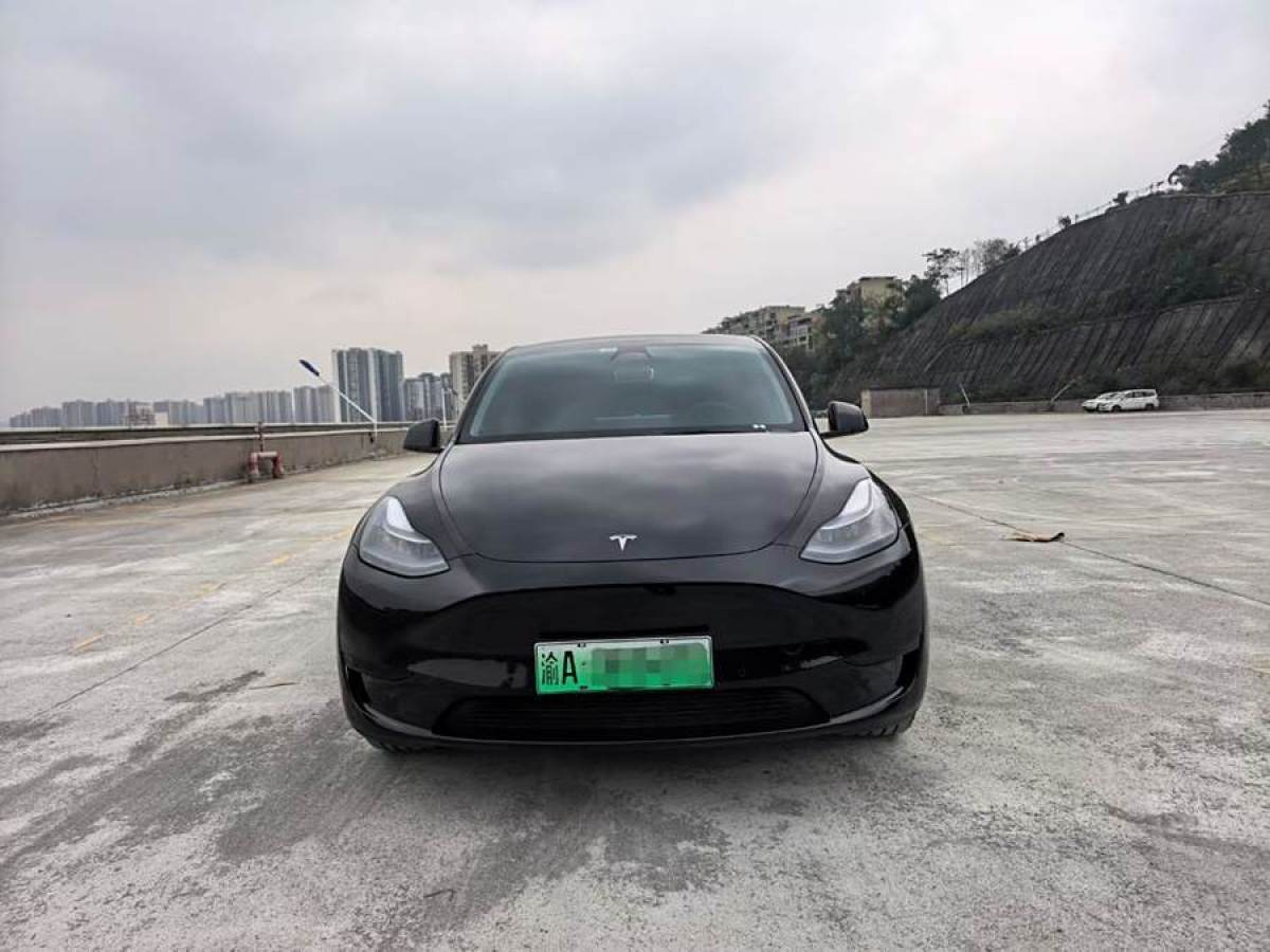 特斯拉 Model 3  2023款 煥新版 后輪驅(qū)動圖片