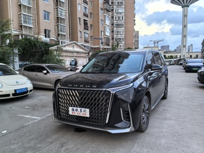 2022年5月 上汽大通 上汽大通MAXUS G90 2.0T 星际旗舰版图片