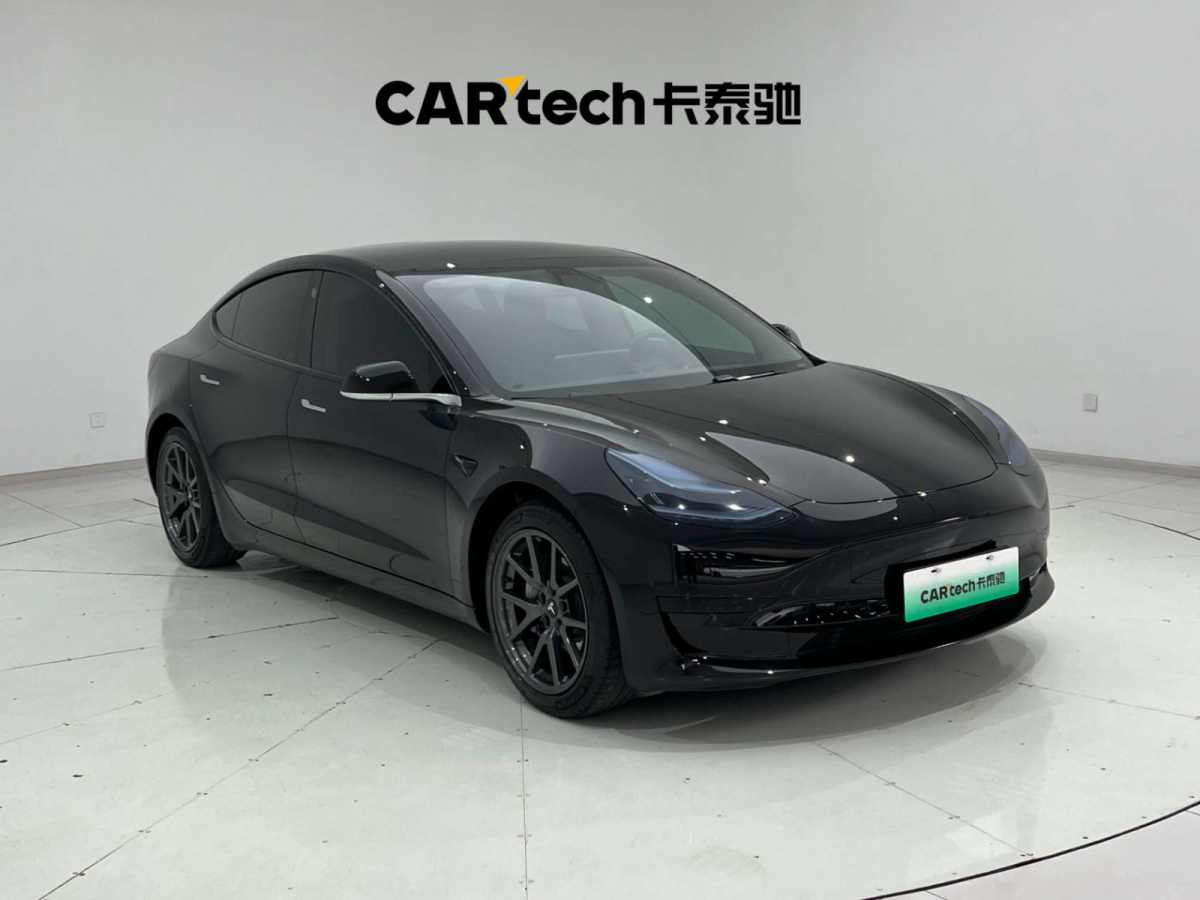 特斯拉 Model 3  2019款 標(biāo)準(zhǔn)續(xù)航后驅(qū)升級版圖片