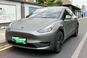Model Y 特斯拉 改款 后輪驅(qū)動版