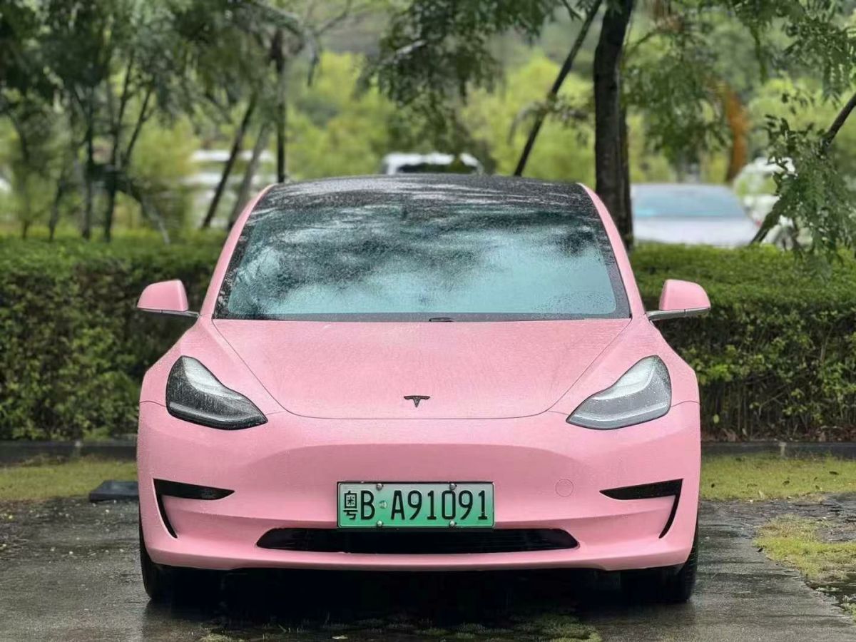 特斯拉 Model 3  2020款 標(biāo)準(zhǔn)續(xù)航后驅(qū)升級版圖片