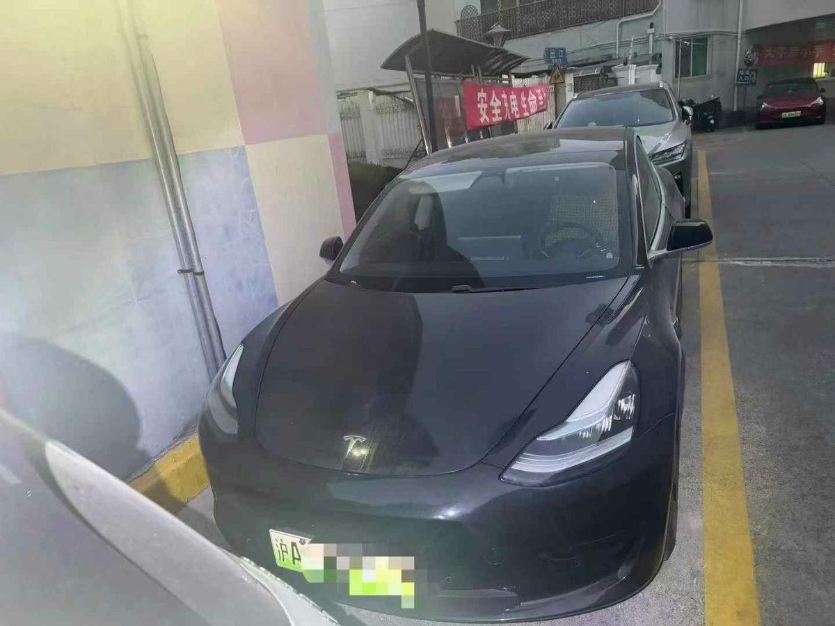 特斯拉 Model 3  2020款 標(biāo)準(zhǔn)續(xù)航后驅(qū)升級(jí)版圖片