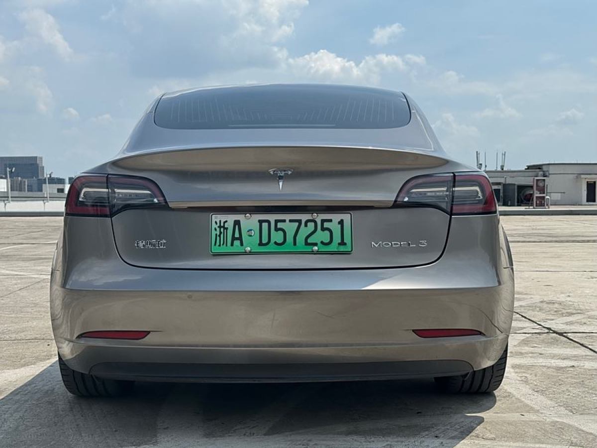 特斯拉 Model 3  2020款 改款 標(biāo)準(zhǔn)續(xù)航后驅(qū)升級版圖片