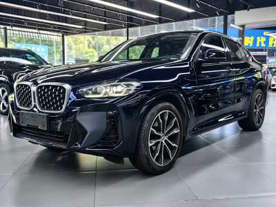 2022年1月 宝马 宝马X4(进口) xDrive 25i M运动套装图片