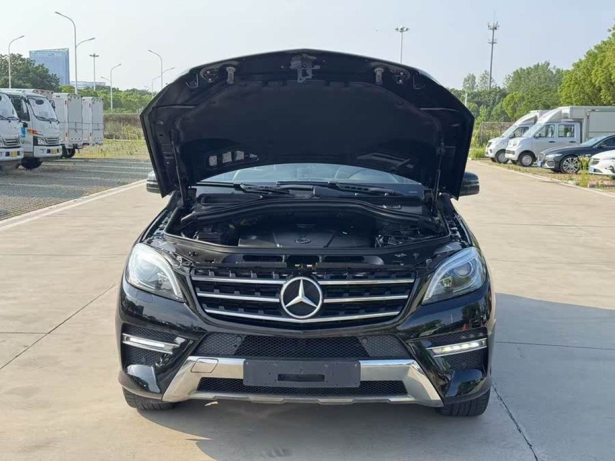 奔馳 奔馳M級(jí)  2014款 ML 350 CDI 4MATIC圖片